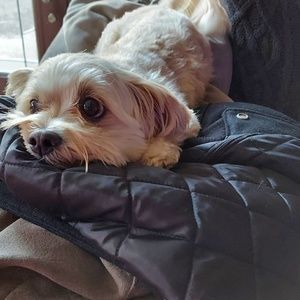 Meet your Posher, Robin